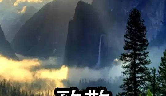 冷调主题片展